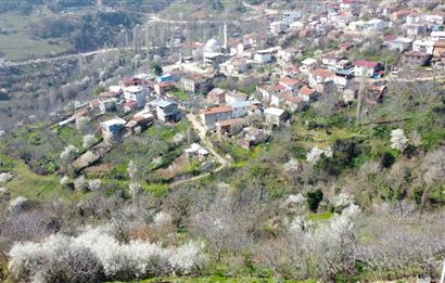 C21 Cius; Şahinyurdu Köyünde Satılık İmarlı 403 m² Bahçe