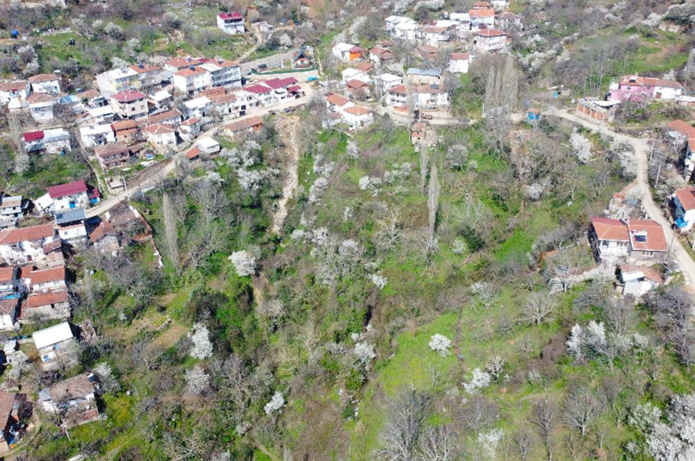 C21 Cius; Şahinyurdu Köyünde Satılık İmarlı 403 m² Bahçe