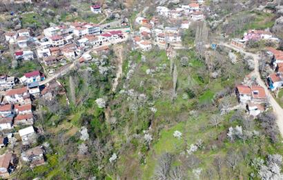 C21 Cius; Şahinyurdu Köyünde Satılık İmarlı 403 m² Bahçe