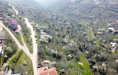 C21 Cius; Şahinyurdu Köyünde Satılık İmarlı 403 m² Bahçe