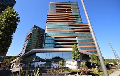 Vadistanbul Kiralık Ofis 450m2 Teraslı Orman Cephe Skyland Seba
