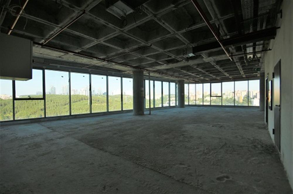 Vadistanbul Kiralık Ofis 450m2 Teraslı Orman Cephe Skyland Seba