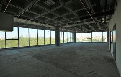 Vadistanbul Kiralık Ofis 450m2 Teraslı Orman Cephe Skyland Seba