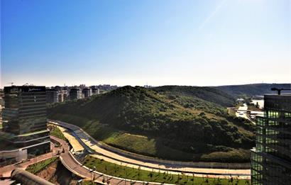 Vadistanbul Kiralık Ofis 450m2 Teraslı Orman Cephe Skyland Seba
