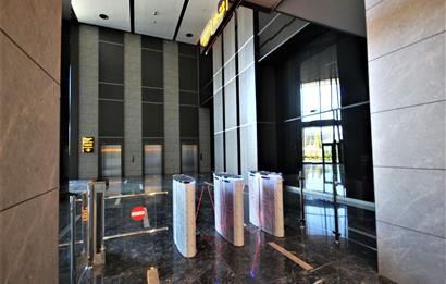 Vadistanbul Kiralık Ofis 450m2 Teraslı Orman Cephe Skyland Seba