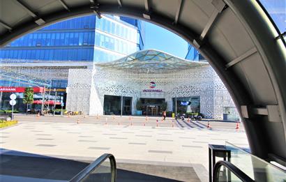 Vadistanbul Kiralık Ofis 450m2 Teraslı Orman Cephe Skyland Seba
