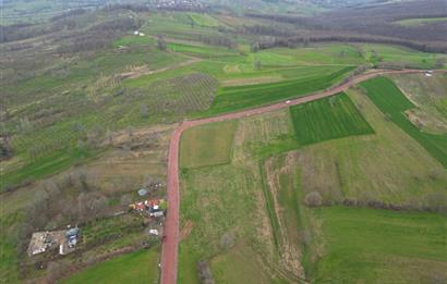 Kocaeli Kandıra Sepetçi' de OSB Yakını Yatırımlık Yola Cephe