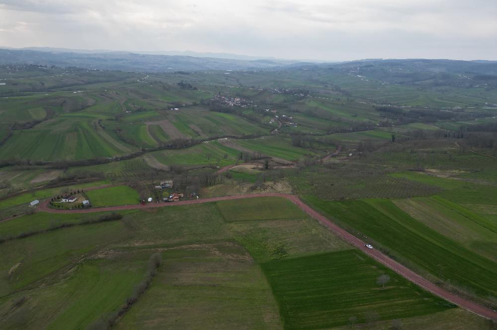 Kocaeli Kandıra Sepetçi' de OSB Yakını Yatırımlık Yola Cephe