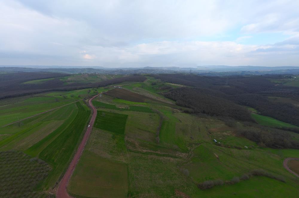 Kocaeli Kandıra Sepetçi' de OSB Yakını Yatırımlık Yola Cephe