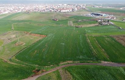 Edirne Uzunköprü Girişi 15,857m2 Harika Konumda Yatırımlık Tarla