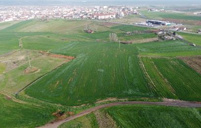 Edirne Uzunköprü Girişi 15,857m2 Harika Konumda Yatırımlık Tarla