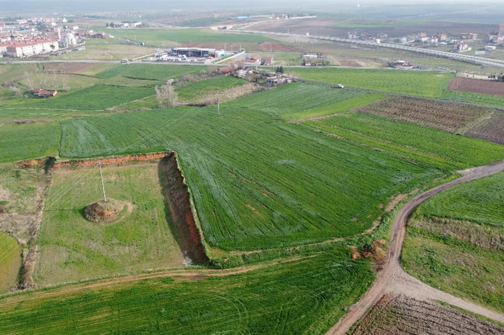 Edirne Uzunköprü Girişi 15,857m2 Harika Konumda Yatırımlık Tarla