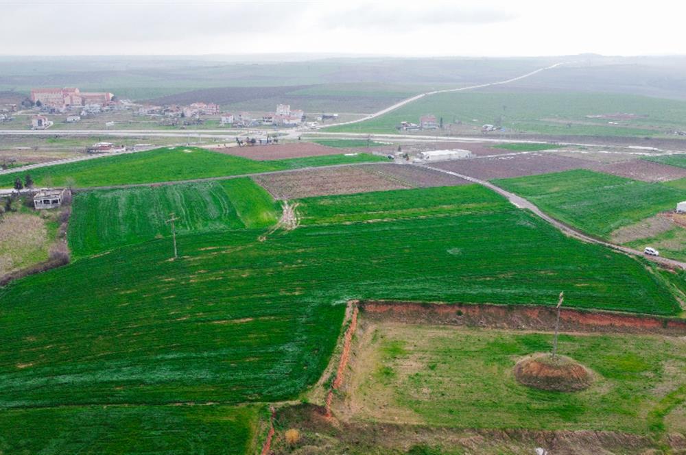 Edirne Uzunköprü Girişi 15,857m2 Harika Konumda Yatırımlık Tarla