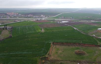 Edirne Uzunköprü Girişi 15,857m2 Harika Konumda Yatırımlık Tarla