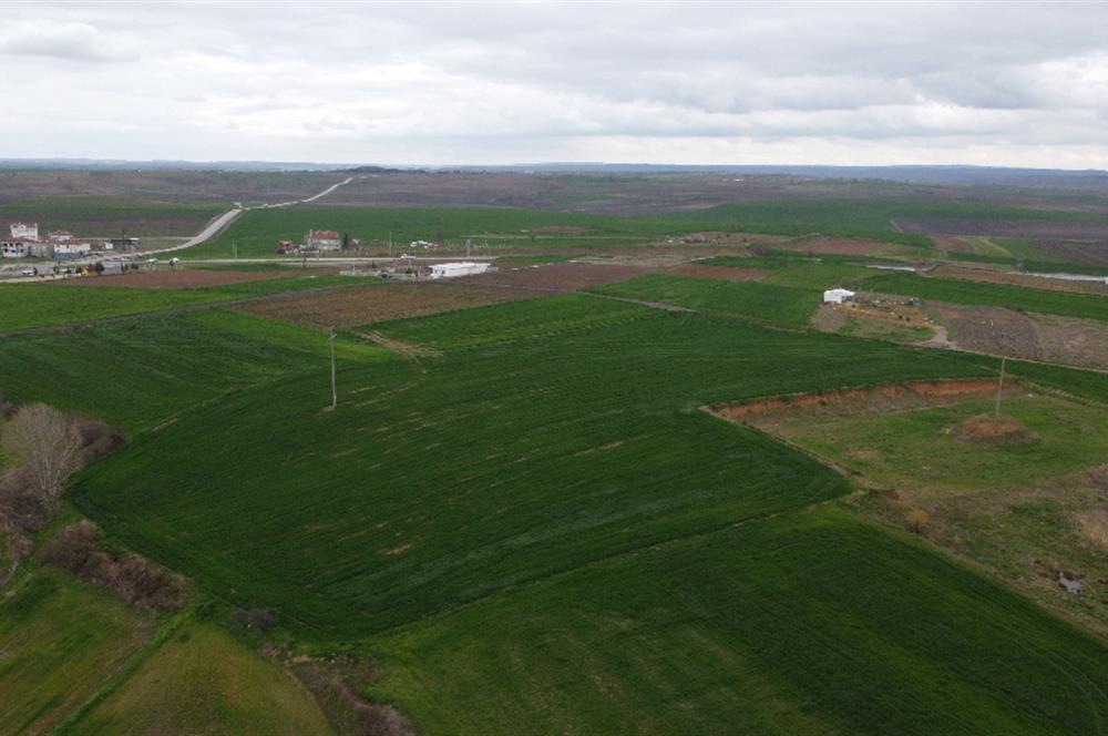 Edirne Uzunköprü Girişi 15,857m2 Harika Konumda Yatırımlık Tarla