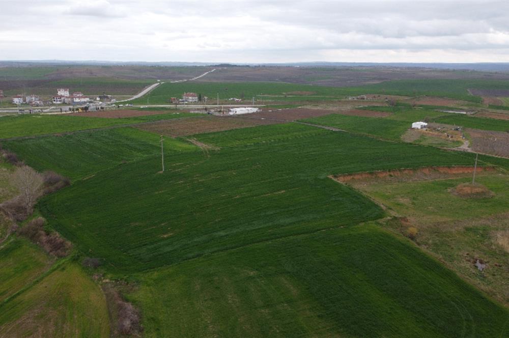 Edirne Uzunköprü Girişi 15,857m2 Harika Konumda Yatırımlık Tarla