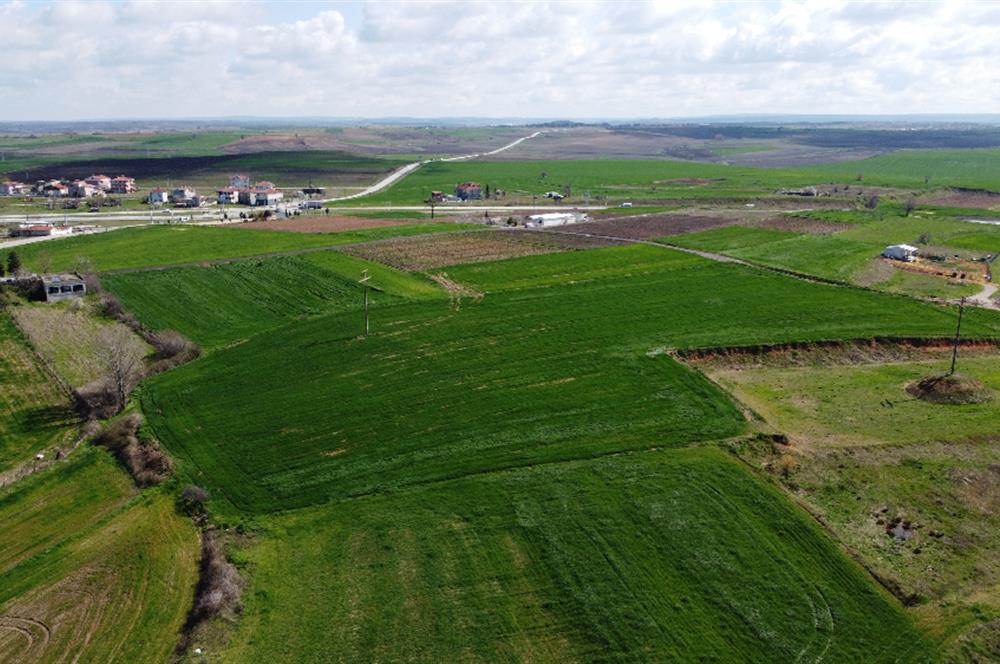 Edirne Uzunköprü Girişi 15,857m2 Harika Konumda Yatırımlık Tarla