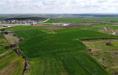 Edirne Uzunköprü Girişi 15,857m2 Harika Konumda Yatırımlık Tarla