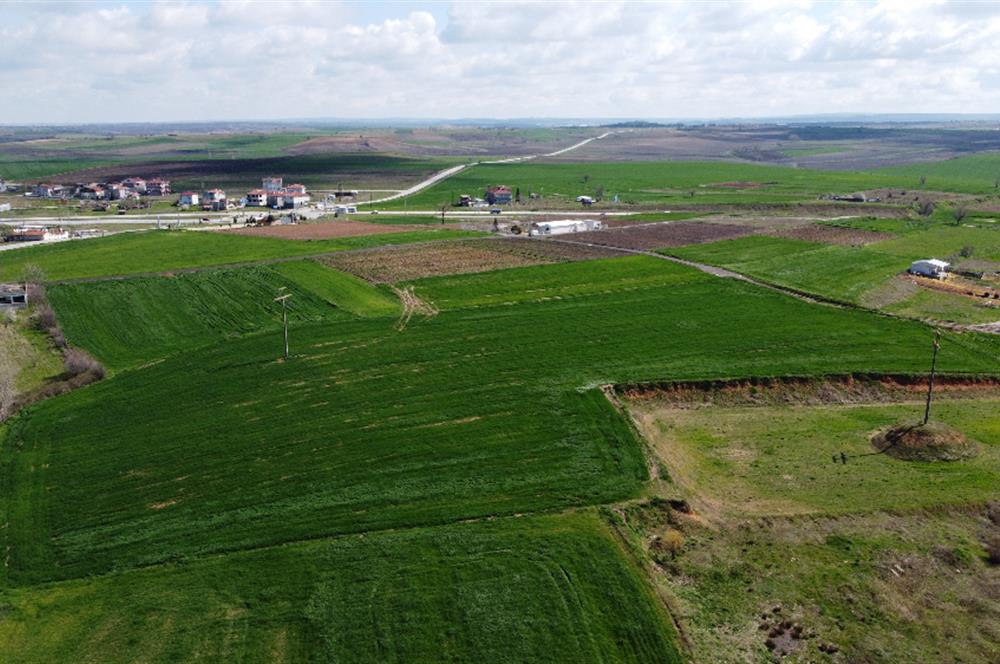 Edirne Uzunköprü Girişi 15,857m2 Harika Konumda Yatırımlık Tarla