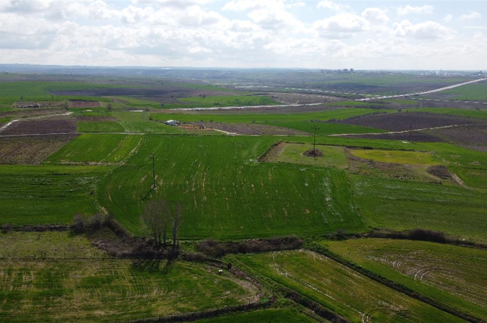 Edirne Uzunköprü Girişi 15,857m2 Harika Konumda Yatırımlık Tarla