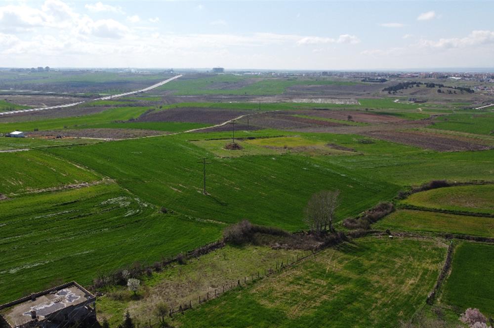 Edirne Uzunköprü Girişi 15,857m2 Harika Konumda Yatırımlık Tarla