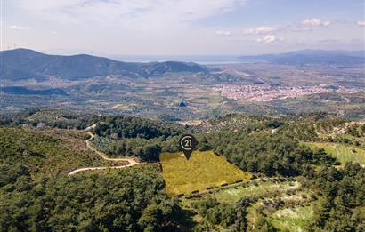 İzmir Selçuk’un En Popüler Köyü Şirince’de Kartaltepe Mevkiinde Deniz Manzaralı Eşsiz Tarla