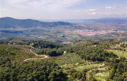 İzmir Selçuk’un En Popüler Köyü Şirince’de Kartaltepe Mevkiinde Deniz Manzaralı Eşsiz Tarla