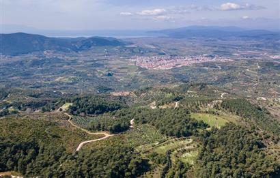 İzmir Selçuk’un En Popüler Köyü Şirince’de Kartaltepe Mevkiinde Deniz Manzaralı Eşsiz Tarla