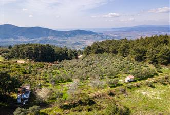 İzmir Selçuk’un En Popüler Köyü Şirince’de Kartaltepe Mevkiinde Deniz Manzaralı Eşsiz Tarla