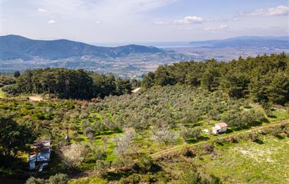 İzmir Selçuk’un En Popüler Köyü Şirince’de Kartaltepe Mevkiinde Deniz Manzaralı Eşsiz Tarla