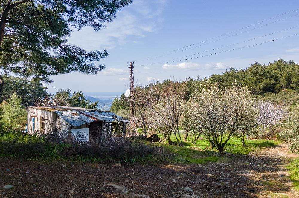 İzmir Selçuk’un En Popüler Köyü Şirince’de Kartaltepe Mevkiinde Deniz Manzaralı Eşsiz Tarla