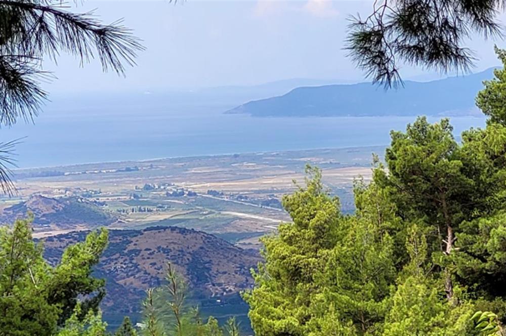 İzmir Selçuk’un En Popüler Köyü Şirince’de Kartaltepe Mevkiinde Deniz Manzaralı Eşsiz Tarla