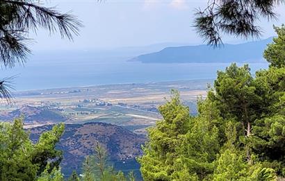 İzmir Selçuk’un En Popüler Köyü Şirince’de Kartaltepe Mevkiinde Deniz Manzaralı Eşsiz Tarla