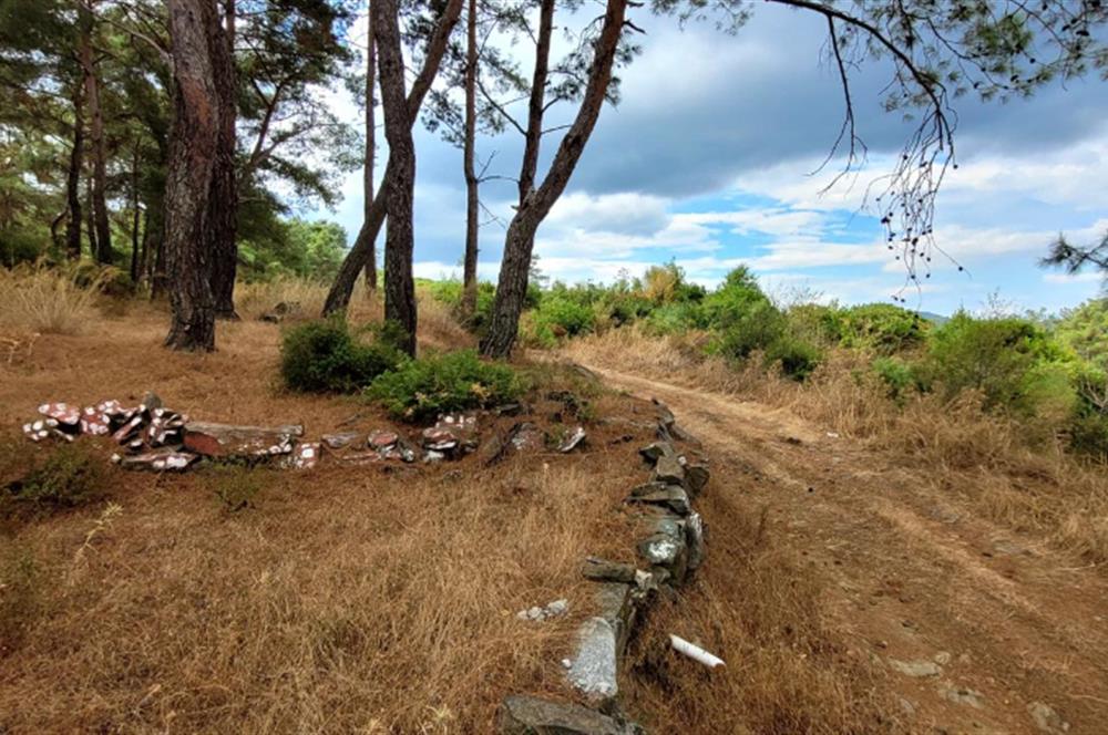 İzmir Selçuk’un En Popüler Köyü Şirince’de Kartaltepe Mevkiinde Deniz Manzaralı Eşsiz Tarla