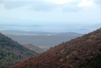 Gömeç Kubaşlar'da Satılık, 16275 m², Kadastral Yolu Olan Arazi