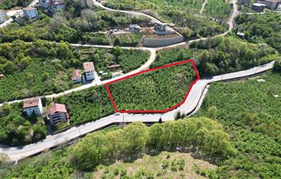 Kocaeli Gölcük %30 Konut İmarlı 4.226m2 Satılık Arsa