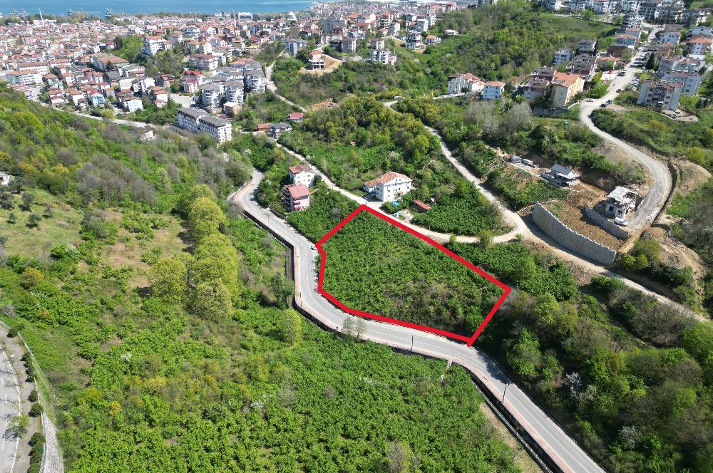 Kocaeli Gölcük %30 Konut İmarlı 4.226m2 Satılık Arsa