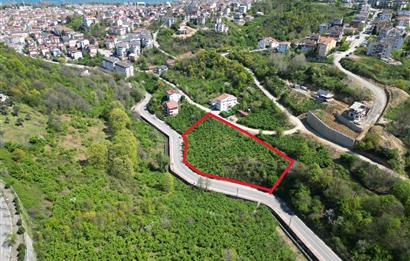 Kocaeli Gölcük %30 Konut İmarlı 4.226m2 Satılık Arsa