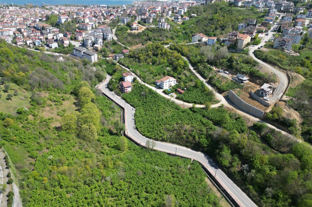 Kocaeli Gölcük %30 Konut İmarlı 4.226m2 Satılık Arsa