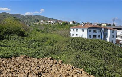 Kocaeli Gölcük Saraylı 1.504m2 %30 Konut İmarlı Satılık Arsa