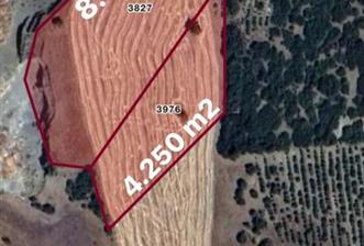 BURDUR YEŞİLOVA KAYADİBİ 12.250 m2 SATILIK TARLA
