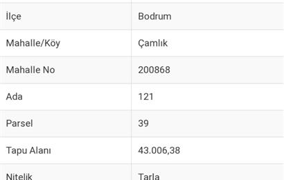 Century 21 Begonvill'den Bodrum-Çamlık'ta yatırımlık tarla