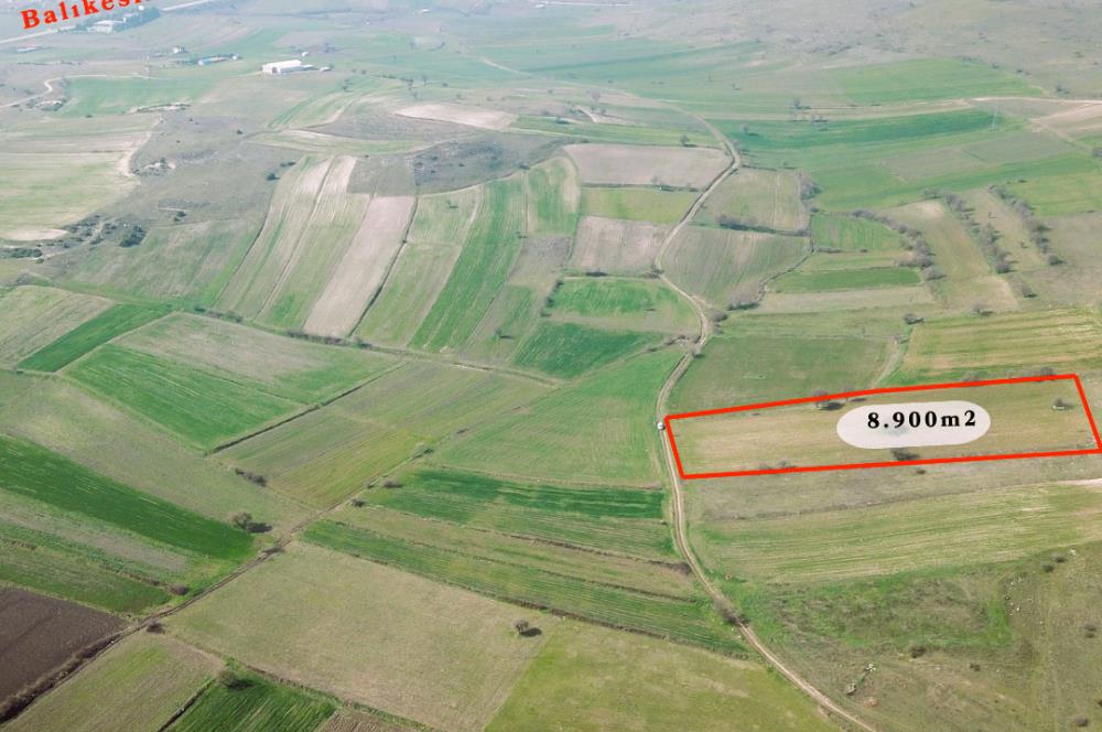 C21 WİNNER ALTIEYLÜL-AKARSU MAHALLESİNDE SATILIK SULAK 8.900 m2 TARLA