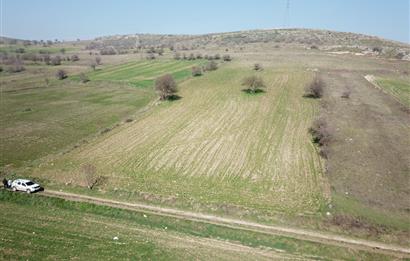 C21 WİNNER ALTIEYLÜL-AKARSU MAHALLESİNDE SATILIK SULAK 8.900 m2 TARLA