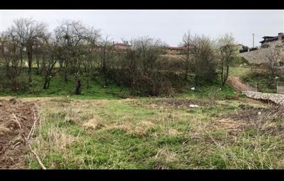 255 M2 ZONED INVESTMENT LAND IN PINARHİSAR KURUDERE FROM C21