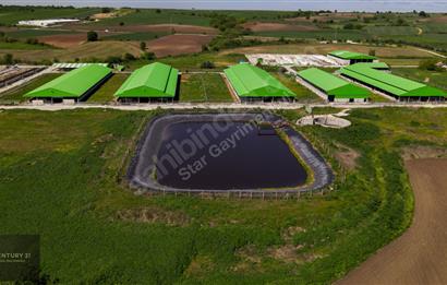 Century21 Star'dan Lüleburgaz da Satılık Süt ve Besi Çiftliği