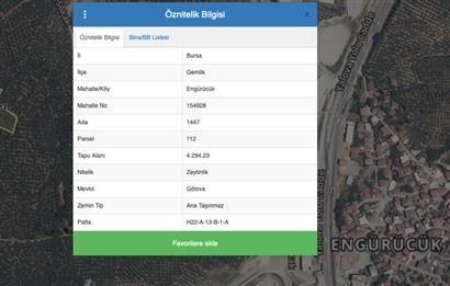 C21 NOVO'DAN BURSA GEMLİK ENGÜRÜCÜK'TE 2.862m2 ZEYTİNLİK