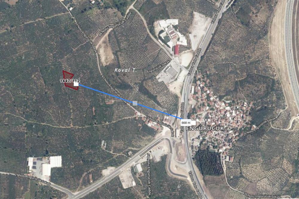 C21 NOVO'DAN BURSA GEMLİK ENGÜRÜCÜK'TE 2.862m2 ZEYTİNLİK