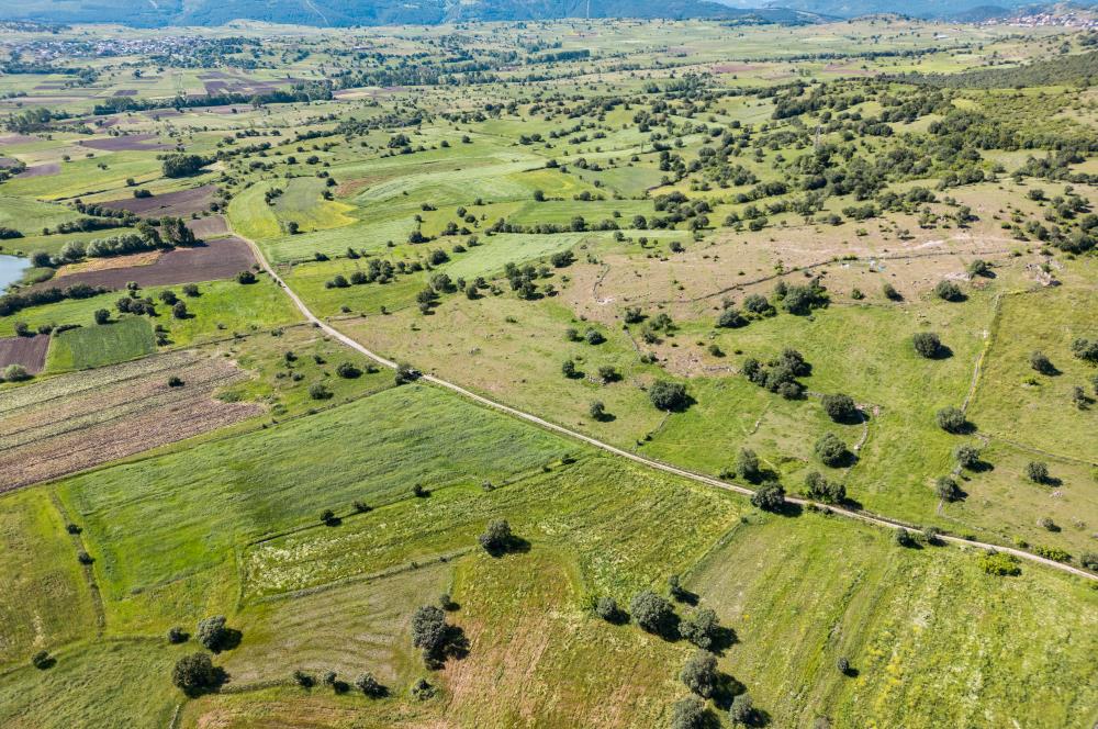 C21 LOCA'DAN BALYA NARLI'DA GÖL MANZARALI SATILIK 16 DÖNÜM TARLA