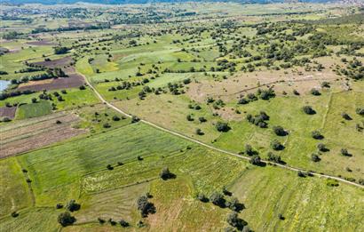 C21 LOCA'DAN BALYA NARLI'DA GÖL MANZARALI SATILIK 16 DÖNÜM TARLA